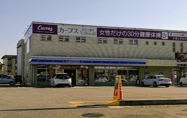 　ローソン長浜八幡東店（コンビニ）／695m　