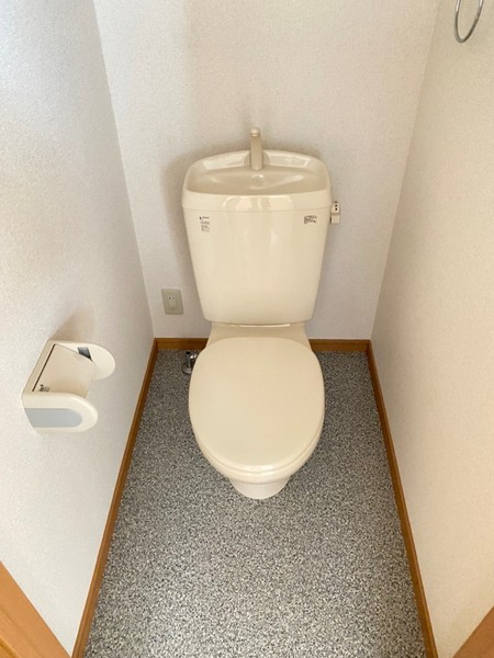 Ｗｉｌｌ－ＡＲＫ３８　トイレ　